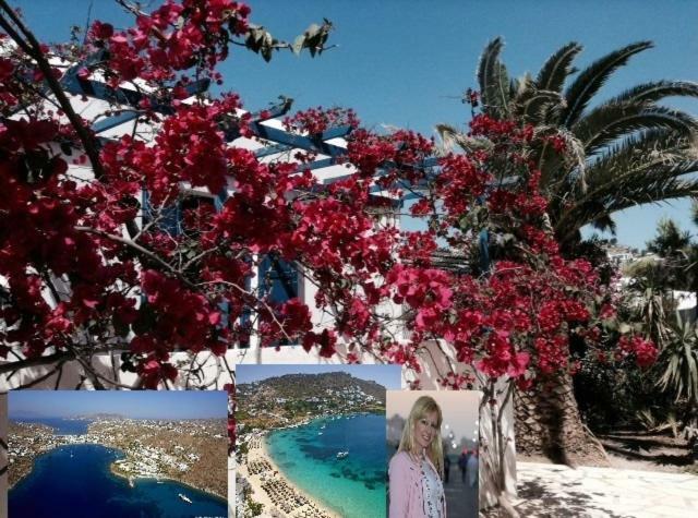 Magical Ornos! Beach House!Beach 1' Walk-Mykonos Town 2Km Exterior foto